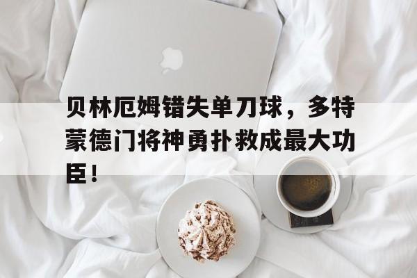 半岛体育官网-贝林厄姆错失单刀球，多特蒙德门将神勇扑救成最大功臣！-半岛体育官网