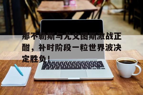 半岛体育APP-那不勒斯与尤文图斯激战正酣，补时阶段一粒世界波决定胜负！-半岛体育APP